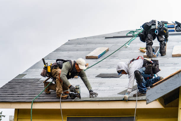 Professional Roofing technician working in Hudgins, VA